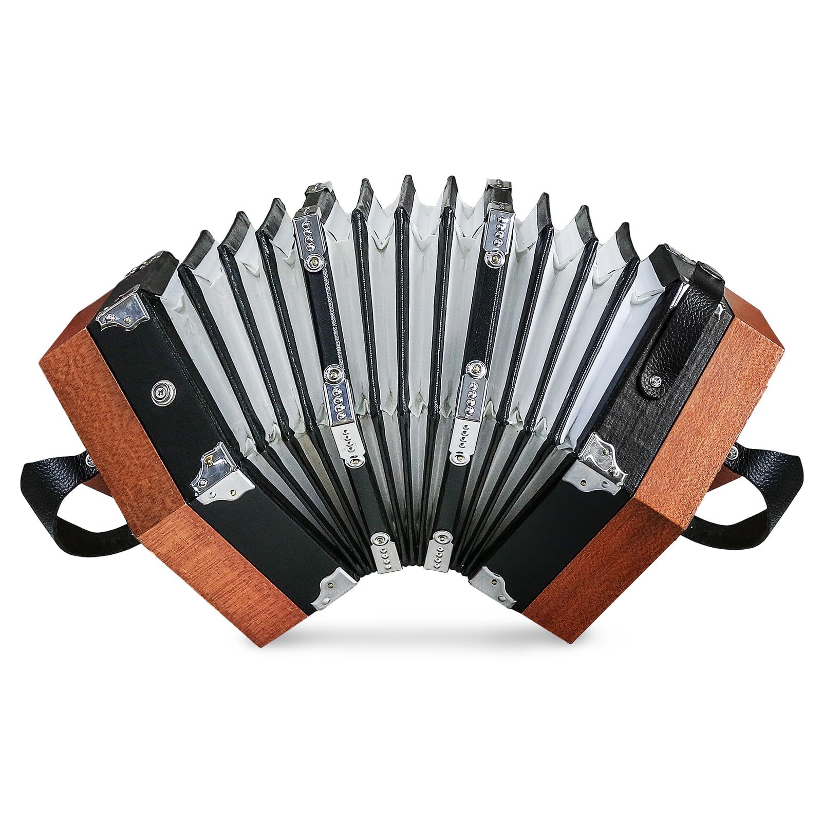 Amazon.com: Concertinas 20-Key Accordion for Adults & Beginners